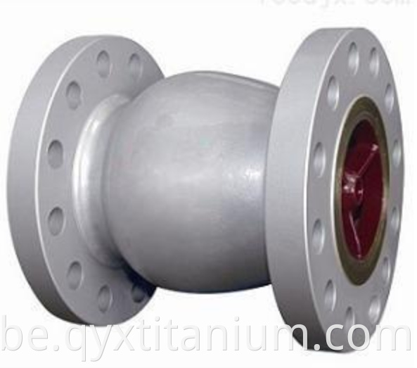 Titanium Axial Flow Check Valve